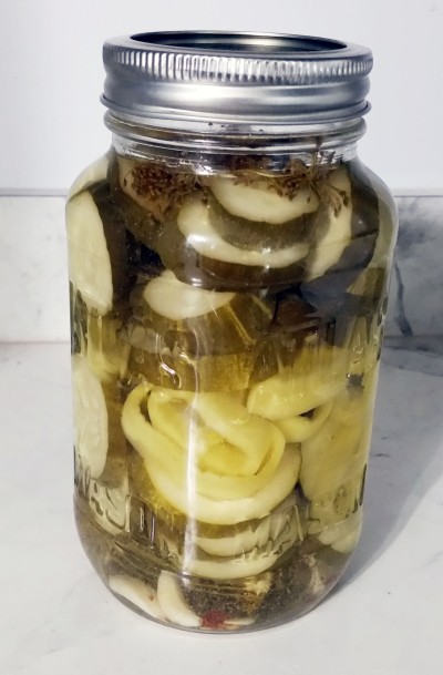garlic dill pickles with hungarian peppers